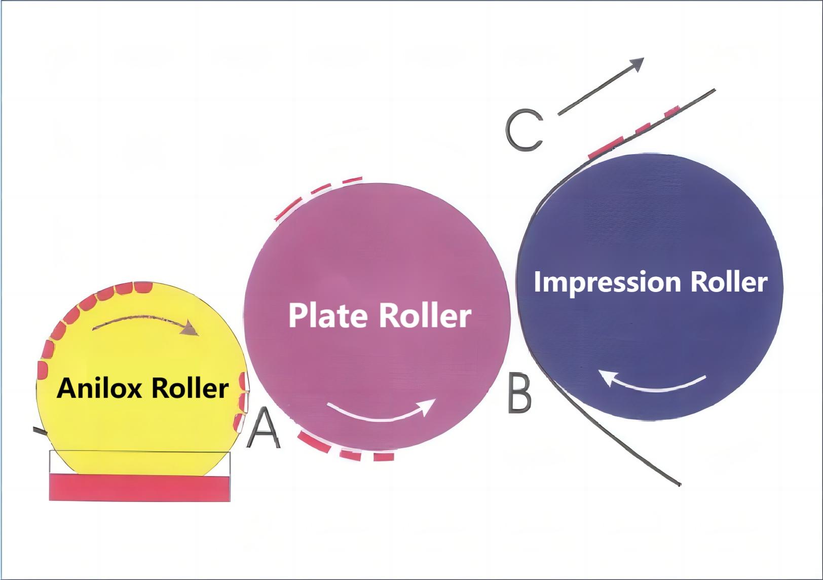 图2 网纹辊的烘烤转移