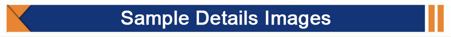 示例详细图片